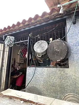 Leo bunny hot online show from March 2025 12:37:02 AM