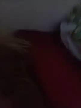 NatashaDormat online show from November 2025 02:12:02 AM