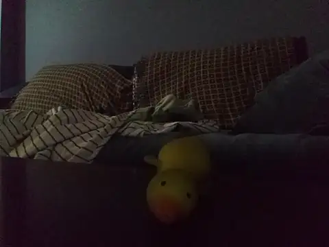 DevinToore online show from March 2026 03:13:01 AM