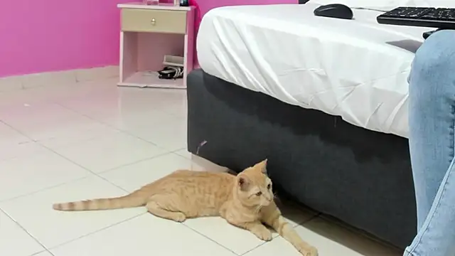  candy jade  online show from January 2026 10:42:02 AM