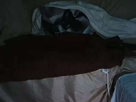 VeneRed online show from October 2025 06:47:02 PM