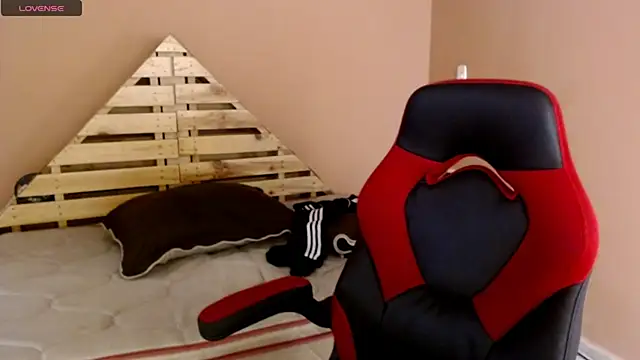 Snapshot of karlgiles_ chatting on March 2025 06:23:02 PM karlgiles online show from March 2025 06:23:02 PM