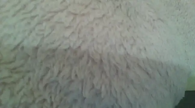 samanta0033 online show from December 2024 09:17:01 PM