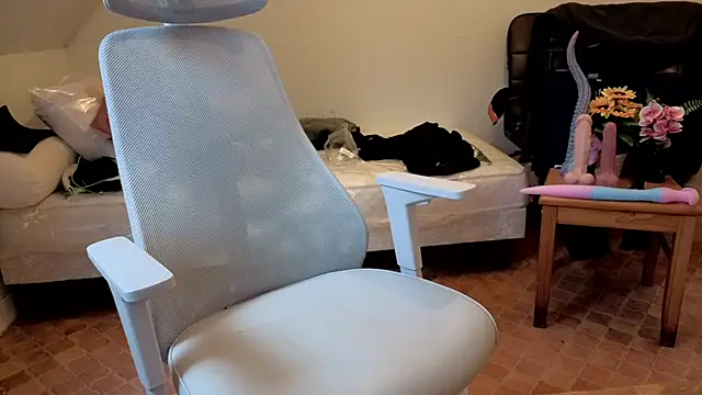 SteveStiffbone online show from February 2026 01:31:02 PM