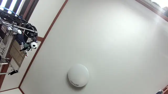 tuki fu online show from December 2024 03:10:02 AM