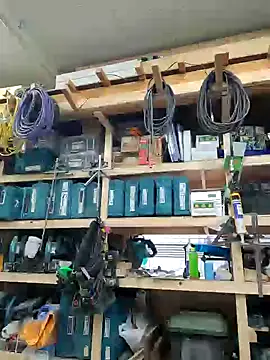 da--------i online show from February 2025 05:30:01 AM