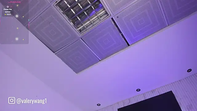 Snapshot of Valery_wang chatting on September 2025 12:07:01 PM Valery wang online show from September 2025 12:07:01 PM