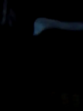 Snapshot of Antor1234 chatting on February 2025 05:07:02 PM Antor1234 online show from February 2025 05:07:02 PM