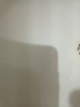 1995eduardo online show from February 2025 03:53:02 PM