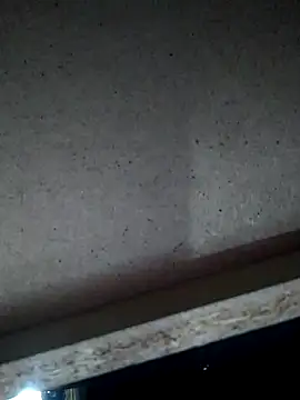 Snapshot of Leocesar37 chatting on November 2025 04:54:02 AM Leocesar37 online show from November 2025 04:54:02 AM