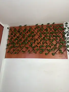 Emily Trujillo online show from November 2025 05:34:02 PM