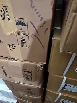 nupa230780 online show from December 2025 06:31:01 AM