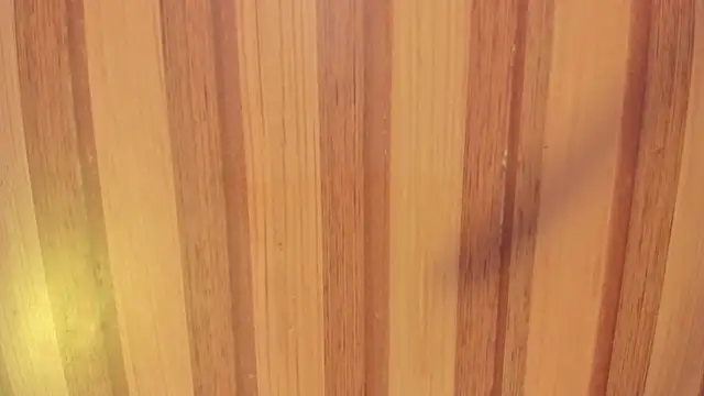 Snapshot of Taylor__cooper chatting on November 2025 06:37:02 PM Taylor cooper online show from November 2025 06:37:02 PM