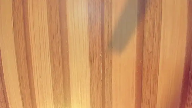 Snapshot of Taylor__cooper chatting on December 2025 06:24:02 PM Taylor cooper online show from December 2025 06:24:02 PM