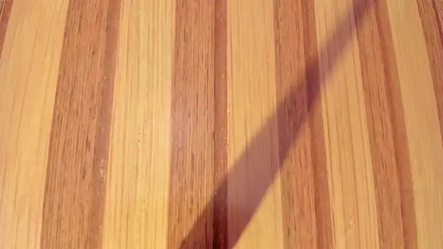 Taylor  cooper online show from December 2025 06:24:02 PM