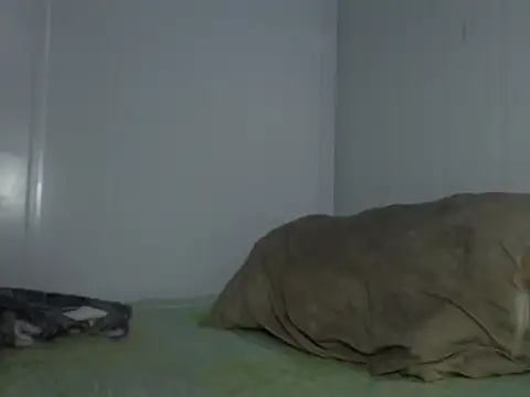 serjdj90 online show from November 2025 08:03:02 AM