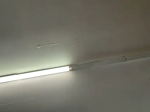 ryansingleton5092 online show from June 2026 02:23:01 PM