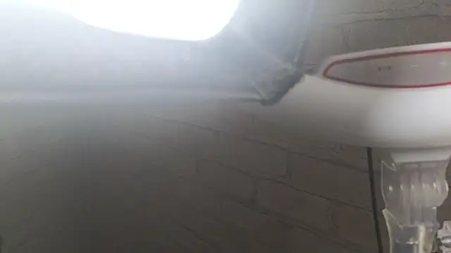 Nika Kitten online show from January 2026 09:58:02 AM