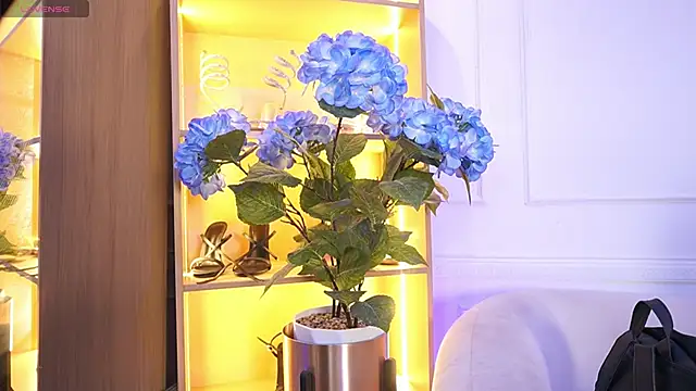 elasummer online show from December 2025 12:12:01 PM