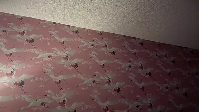 Youngjoshy online show from November 2025 07:40:01 AM