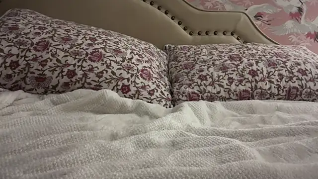 Youngjoshy online show from November 2025 07:08:02 AM