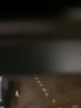 evoscenteno online show from December 2024 12:32:02 AM