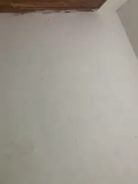 Snapshot of menorbnx chatting on November 2025 06:33:02 AM menorbnx online show from November 2025 06:33:02 AM