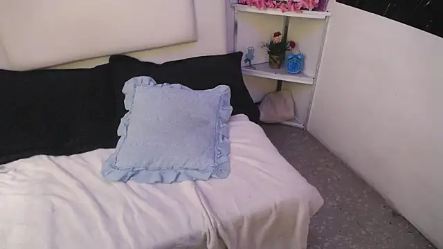 Snapshot of palmer_mIix chatting on December 2024 01:07:02 PM palmer mIix online show from December 2024 01:07:02 PM