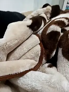 sami Maysa online show from January 2025 01:03:01 PM