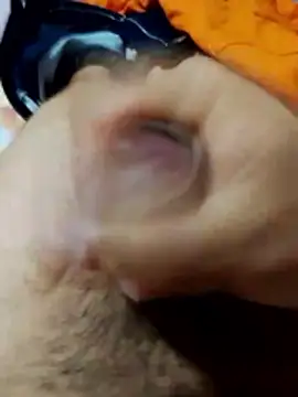 Edipaca online show from March 2026 12:55:01 PM