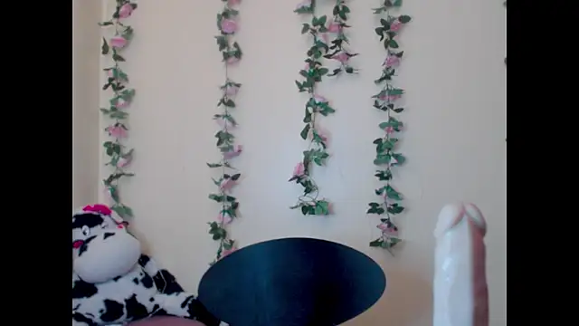 Snapshot of Saloome- chatting on June 2026 07:05:01 PM Saloome- online show from June 2026 07:05:01 PM