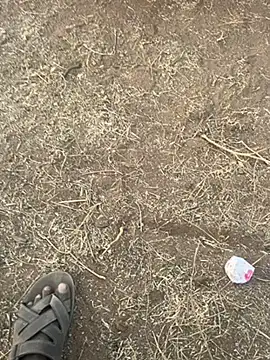 Snapshot of tamil000000 chatting on March 2025 12:48:02 PM tamil000000 online show from March 2025 12:48:02 PM