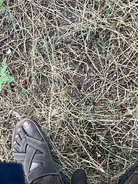 Snapshot of tamil000000 chatting on March 2025 01:37:01 AM tamil000000 online show from March 2025 01:37:01 AM