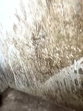 tamil000000 online show from January 2026 10:31:01 AM