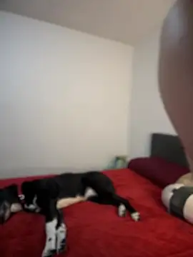 Snapshot of ariiel_ chatting on February 2025 10:43:02 PM ariiel online show from February 2025 10:43:02 PM