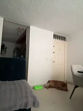 Snapshot of ariiel_ chatting on March 2025 08:22:01 PM ariiel online show from March 2025 08:22:01 PM