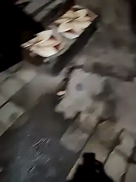 Mumbai Boy k online show from December 2024 12:52:01 AM