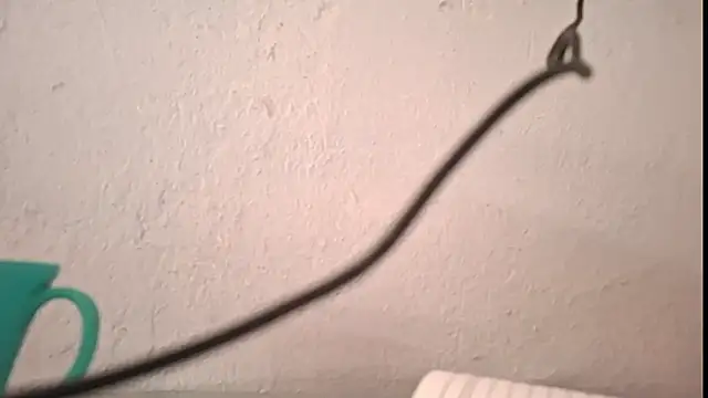 Snapshot of yazforeSolo chatting on October 2025 09:24:01 PM yazforeSolo online show from October 2025 09:24:01 PM