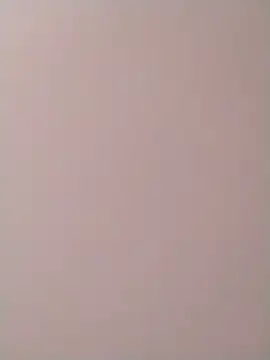 PracticalGum40 online show from December 2024 10:18:01 AM