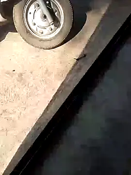 PracticalGum40 online show from December 2024 07:58:01 AM