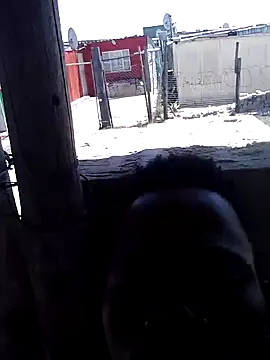 CptDickX258 online show from December 2024 09:17:01 AM