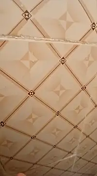 ken tanaka online show from February 2025 03:31:02 AM