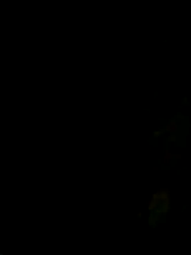 ken tanaka online show from September 2025 02:55:02 AM