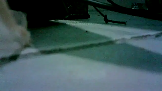 Snapshot of patynalgona chatting on October 2025 11:00:02 AM patynalgona online show from October 2025 11:00:02 AM