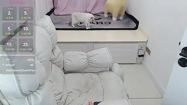 Snapshot of Tang-1314 chatting on February 2025 05:30:02 AM Tang-1314 online show from February 2025 05:30:02 AM