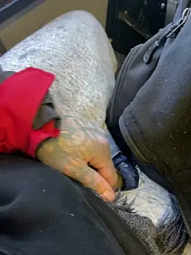 Fuckboy4public online show from December 2024 04:08:02 PM