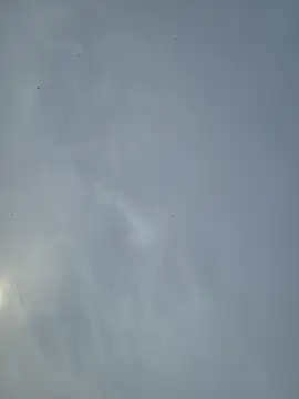 Fuckboy4public online show from March 2026 11:22:01 PM