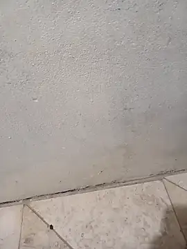 lemon69Reo online show from February 2026 06:39:02 AM