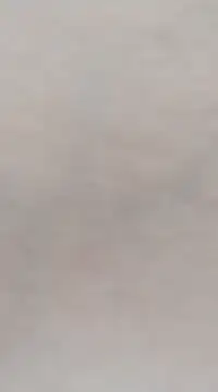 Lorrain Dorrie online show from March 2025 05:11:01 AM