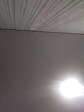 Lorrain Dorrie online show from December 2025 06:30:02 AM